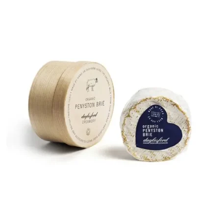 organic-mini-penyston